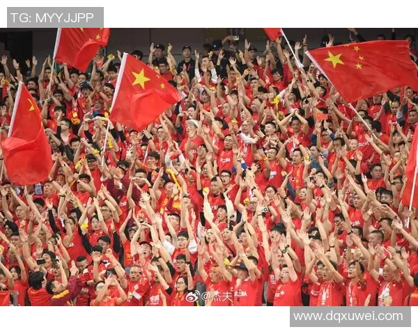 杭州足球队在精英赛中的拼搏历程与荣耀时刻全景回顾