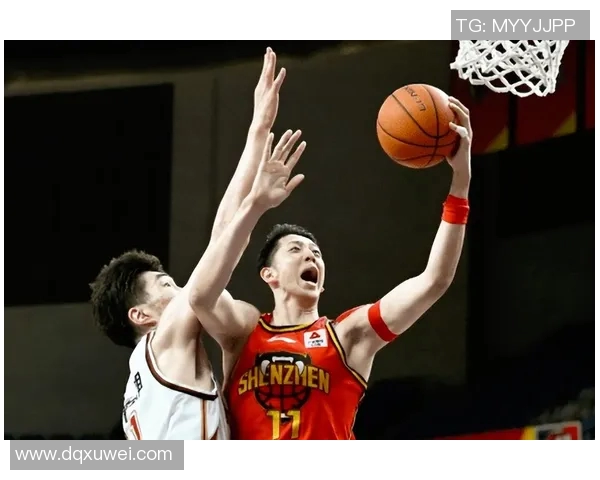 沈梓捷：从篮球新星到职业赛场的璀璨之路与未来展望