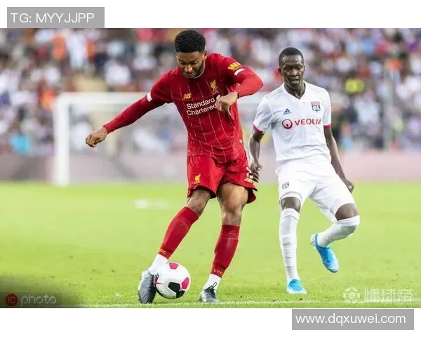 穆雷与西里奇历次对决战绩回顾与分析