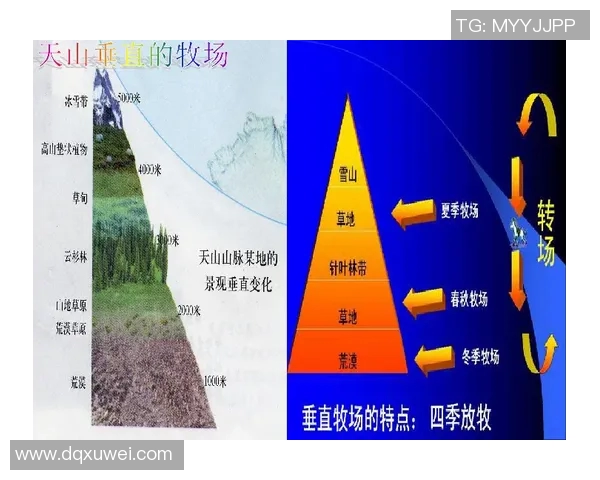 鸟栖砂岩与仙台的对比分析及其文化历史影响探讨