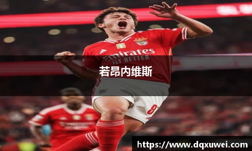 若昂内维斯